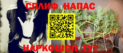 твердый Гусев