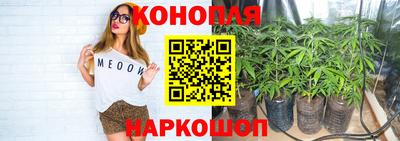 твердый Гусев