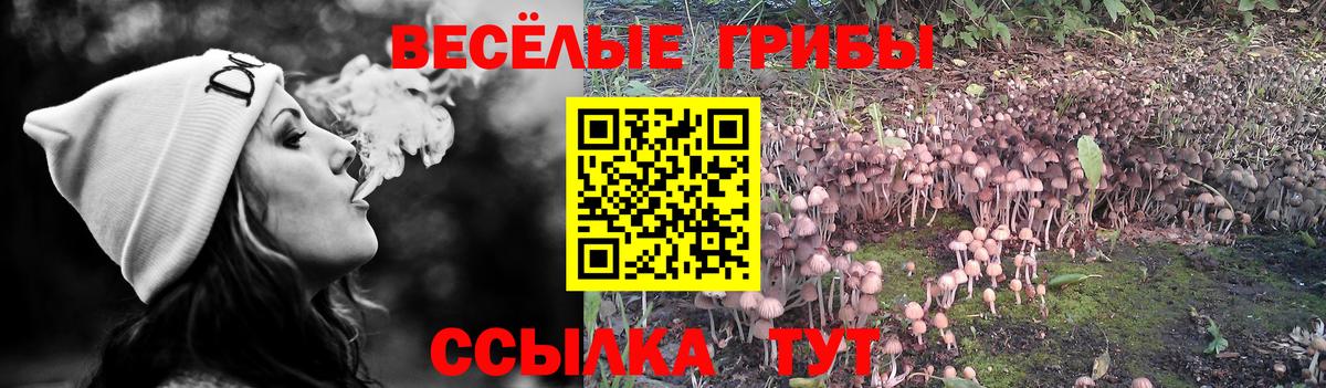 Меф МЯУ МЯУ кристаллы  Codein  А ПВП СОЛЬ кристаллы  ГАШ  Вход с VPN  Кокаин  Лабытнанги  Бошки Шишки 
