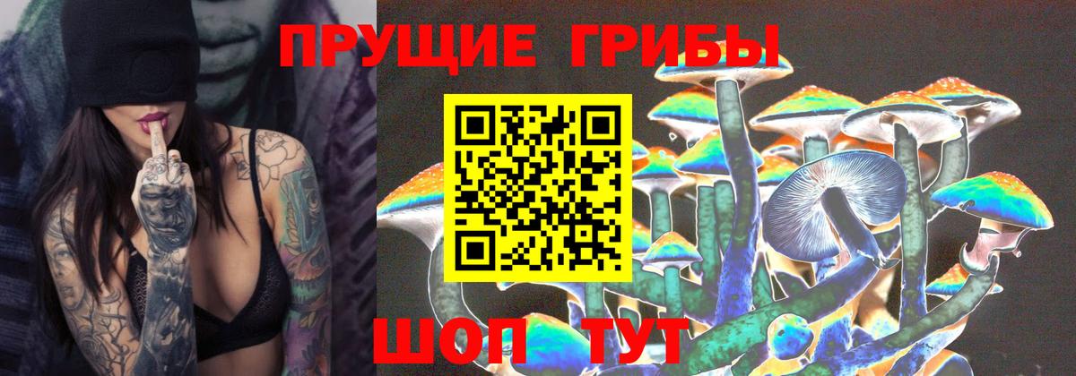 Лабытнанги  Псилоцибиновые грибы Cubensis  Вход с VPN 